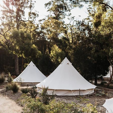 Bed and Breakfast Bay Of Fires Bush Retreat Binalong Bay Exterior foto