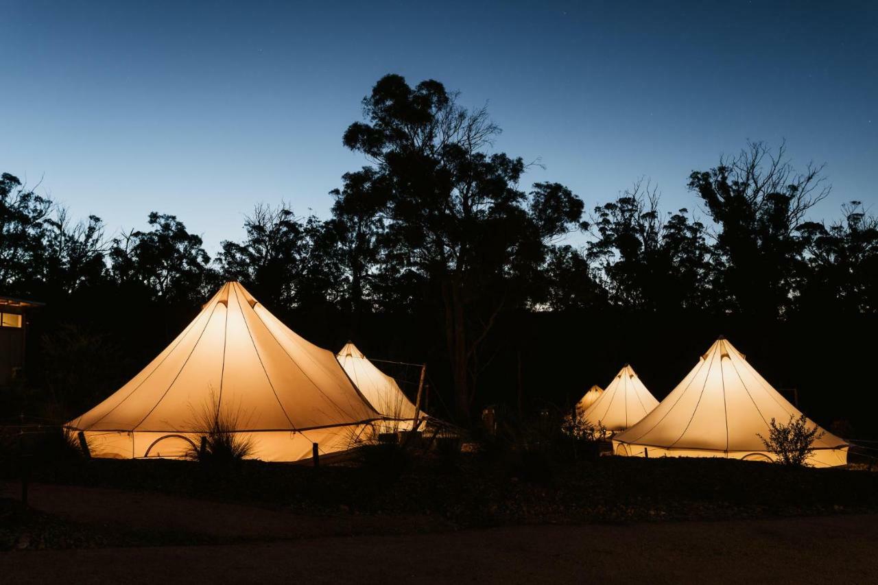 Bed and Breakfast Bay Of Fires Bush Retreat Binalong Bay Exterior foto